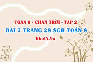 Bài 7 trang 28 Toán 8 Chân trời sáng tạo Tập 2